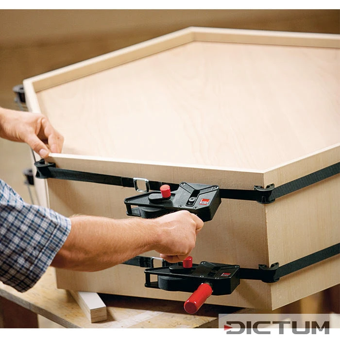 Tendeur à Bande Bessey Avec Vario-coins 5 Tendeur à Bande Bessey Avec Vario-coins – Image 3