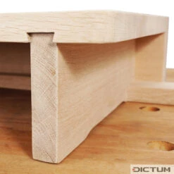 Presse D’établi Mobile Moxon Vice DICTUM -Accueil Outils Boutique 716288 04 A WE 8 DICTUM Moxon Vice Aufsatzzange WZ jpg